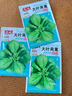 【今年新種】青香大葉茼蒿桐花菜大葉蓬蒿菜耐熱皇帝菜火鍋蔬菜 大葉茼蒿種子 買(mǎi)二包送一包約3000粒 曬單實(shí)拍圖