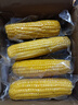 佳農 內蒙黃糯玉米棒8袋*220g 軟糯香甜 真空鎖鮮 源頭直發(fā) 禮盒包郵 曬單實(shí)拍圖