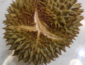 源外 泰國進(jìn)口金枕榴蓮老樹果 當(dāng)季新鮮整個帶殼金枕頭報恩盲盒水果 精選3-4斤單果（包3-5房） 曬單實(shí)拍圖