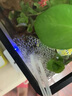 德國釣魚(yú)氧氣泵戶(hù)外usb便攜增氧泵養魚(yú)車(chē)載充插兩用氧機鋰電無(wú)線(xiàn) 【至臻漁佬款】980W/198時(shí)【秒爆氧 曬單實(shí)拍圖