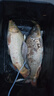 漢鼎一號6代魚(yú)竿超輕手竿4.5米臺釣竿鯽魚(yú)竿碳纖維手桿 大綜合4.5米 曬單實(shí)拍圖