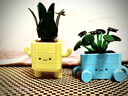 樂(lè )高（LEGO）積木拼裝10349 快樂(lè )盆栽男孩女孩兒童玩具七夕情人節禮物 曬單實(shí)拍圖