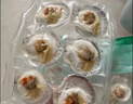 獐子島 冷凍蒜蓉粉絲扇貝 凈重600g 18只 燒烤食材 生鮮 海鮮水產(chǎn)  曬單實(shí)拍圖