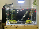 YEE魚(yú)缸金晶超白金魚(yú)裸缸8060家用客廳桌面小草缸龜缸玻璃生態(tài)溪流缸 【送上樓】40*23*25*5mm裸缸 曬單實(shí)拍圖