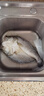 鮮京采三去海鱸魚(yú)3斤/3條 生鮮魚(yú)類(lèi) 白蕉鱸魚(yú)地標(biāo) 無(wú)冰凈重3斤 源頭直發(fā) 曬單實(shí)拍圖