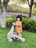 費思德嬰兒學(xué)步車(chē)手推車(chē)防側翻o型腿0-1-3歲寶寶玩具新生兒見(jiàn)面禮實(shí)用 六合一學(xué)步車(chē)[滑步+搖馬+游戲桌] 2025款防側翻一歲男女孩早教周歲禮物 曬單實(shí)拍圖