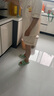 紫色花語(yǔ)【帶胸墊防尷尬】睡衣女士夏季2025年新款家居服短袖乳白小熊L 曬單實(shí)拍圖