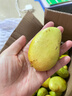 顧果鮮海南小臺芒9斤新鮮應季當季熱帶時(shí)令水果小臺農芒果整箱甜心芒 5斤 【中果】 曬單實(shí)拍圖