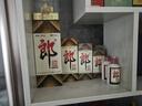 雙槍油壺噴霧倒油噴油一體兩用霧化食用油玻璃油壺廚房家用不掛油 曬單實拍圖