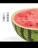 【產(chǎn)地直采】麒麟奶油西瓜 約5.5kg 曬單實(shí)拍圖
