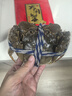 【活蟹】陽澄帝 大閘蟹鮮活  現(xiàn)貨特大螃蟹公蟹母蟹精品禮盒裝 現(xiàn)貨公5.0兩母4.0兩4對 8只裝 曬單實(shí)拍圖