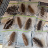 京東京造 密封袋食品級(jí)保鮮袋小號(hào)雙拉鏈自封口露營(yíng)燒烤13*13cm【50只】 曬單實(shí)拍圖