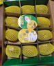 佳沛（zespri）新西蘭 陽光金果12粒單果約122-146g 獼猴桃 中秋水果禮盒 曬單實拍圖