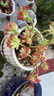 多肉植物組合盆栽陽(yáng)臺桌面喜陽(yáng)植物帶盆土果凍顏色 24顆隨機不重復【24八角盆和土】 曬單實(shí)拍圖