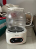 美的（Midea）全玻璃養(yǎng)生壺 辦公室燒水壺 家用多功能煮茶壺 花茶煮茶器 迷你小型電熱水壺 圍爐煮茶壺 【0膠水】YS10B101 1L 曬單實拍圖