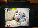 松下（Panasonic）Lumix G100D M43畫幅相機 M43卡口 微單相機 無反數(shù)碼相機 G100D+【12-60+25F1.7】雙白盒套裝 曬單實拍圖