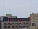 帝賓澤大碼短袖T恤男加肥加大寬松胖子肥佬夏季透氣圓領(lǐng)打底衫 曬單實拍圖