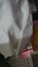 尼多熊女童內(nèi)褲安全褲防走光寶寶平角內(nèi)褲打底褲兒童四角短褲 粉+白 S碼 曬單實拍圖