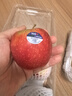 京鮮生 新西蘭脆甜加力果6粒裝 單果150g起 嘎啦姬娜蘋(píng)果 源頭直發(fā)  曬單實(shí)拍圖