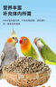 殼麻子鸚鵡糧虎皮玄鳳飼料獎勵零食 紙殼麻子【1斤】中顆粒 曬單實(shí)拍圖