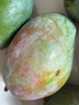 京鮮生 攀枝花凱特芒果 凈重8.5斤 帶箱9斤 單果400g+ 生鮮水果源頭直發(fā) 曬單實(shí)拍圖