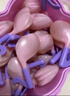 周十五益生菌蜂蜜露孕婦開(kāi)塞蜜露待產(chǎn)包用品產(chǎn)后護理一次性蜜栓音符10支 曬單實(shí)拍圖