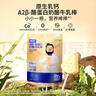 奶酪博士高鈣A2β-酪蛋白牛乳棒棒糖40.6g 奶片奶酪棒寶寶兒童0添加零食 曬單實(shí)拍圖