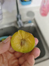 京鮮生 攀枝花凱特芒果 凈重4.5斤 單果600g 生鮮水果 源頭直發(fā) 曬單實(shí)拍圖