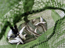 民間藝人大師線(xiàn)組魚(yú)線(xiàn)成品主線(xiàn)鯽魚(yú)釣魚(yú)線(xiàn)組套裝全套配件用品線(xiàn)拉力強魚(yú)線(xiàn) 5.4m 1.2號（三個(gè)裝） 曬單實(shí)拍圖