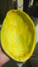 【大臉芒】京喜加四川凱特芒果 帶箱兩斤裝200g+ 曬單實(shí)拍圖