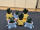 樂(lè )高（LEGO）積木拼裝10349 快樂(lè )盆栽男孩女孩兒童玩具教師節禮物 曬單實(shí)拍圖