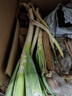 農家自種精品山東大蔥特級新鮮鐵桿長(cháng)白蔥農家毛蔥香蔥現挖便宜 山東大蔥（帶老皮）帶箱 1斤 曬單實(shí)拍圖