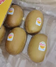 佳沛（zespri）新西蘭  陽(yáng)光金奇異果25-27粒原箱特大果單果約122-146g  獼猴桃 曬單實(shí)拍圖