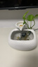 陶瓷小型噴泉流水器家居招財(cái)流水?dāng)[件循環(huán)水風(fēng)水輪辦公室桌面禮品 粉絲專(zhuān)享價(jià)細(xì)水長(zhǎng)流方款+白色 曬單實(shí)拍圖