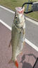 路亞包溪流釣魚(yú)包多功能腰包防水漁具包戰術(shù)背包斜挎包 特惠純黑 曬單實(shí)拍圖