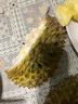 京鮮生 進(jìn)口金枕頭榴蓮 凈重3-4斤 1個(gè)裝  鮮果 生鮮 新鮮水果 曬單實(shí)拍圖