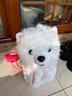 愛(ài)維親狗狗玩具玩偶毛絨仿真狗會(huì )叫會(huì )走電動(dòng)玩具狗男女孩寵物生日禮物 白博美舔舌【充電套裝】唱歌學(xué)話(huà) 曬單實(shí)拍圖