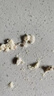 美玏 窩頭面5斤五谷雜糧面粉自發(fā)窩窩頭粗糧面粉免發(fā)酵九合家用面粉 曬單實(shí)拍圖