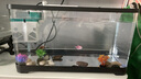 闊庭魚缸懶人魚缸家用客廳辦公室金魚缸過濾魚缸黑色款 曬單實拍圖