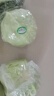彩虹雨 北京農(nóng)場(chǎng)有機(jī)球生菜400g歐盟認(rèn)證 有機(jī)蔬菜生鮮自有農(nóng)場(chǎng)新鮮直發(fā) 曬單實(shí)拍圖