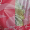 萬景 北海淡干墨魚干 凈重250g/袋 6-10只 中號 煲湯海鮮 源頭直發(fā) 曬單實拍圖