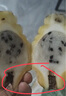 新鮮燕窩果麒麟果大果罕見(jiàn)稀有海南黃金火龍果甜孕婦水果整箱禮盒 1斤1-2兩5-10個(gè) 曬單實(shí)拍圖