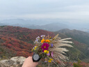 佳明（GARMIN）Fenix7太陽(yáng)能碳黑旗艦版血氧跑步戶(hù)外運動(dòng)智能手表生日禮物 曬單實(shí)拍圖