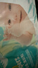 幫寶適（Pampers）清新幫紙尿褲中碼M54片云柔超薄干爽尿不濕透氣 曬單實拍圖