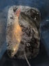 漁之源釣椅騎士新款釣魚(yú)椅子多地形折疊便攜功能戶(hù)外野釣座椅凳靠背配件 25年新款推薦【【背包套裝 拐角配件3件 拉餌盤(pán)】 曬單實(shí)拍圖