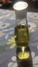 袋鼠媽媽橄欖精華油護膚品準孕期產(chǎn)后修護淡化身體紋油準孕婦妊娠油96ml*2 曬單實(shí)拍圖