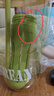 高顏值巨無(wú)霸水杯女生便攜式手提防燙設計帶吸管茶漏花茶塑料水杯 綠色 1.3L 曬單實(shí)拍圖