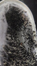 九陽(yáng)（Joyoung）過(guò)濾凈水器 家用濾水壺 凈水壺（一壺13芯 ） 3.5L 四重過(guò)濾 智能換芯提醒 B05E 曬單實(shí)拍圖