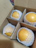 京鮮生山東煙臺萊陽(yáng)秋月梨凈重3斤單果250g+ 新鮮水果 源頭直發(fā)包郵 曬單實(shí)拍圖