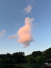 伊民康洋 寧夏灘羊肉生鮮原切羔羊戰(zhàn)斧法式羊排12支 凈重2斤 清真源頭直發(fā) 曬單實(shí)拍圖